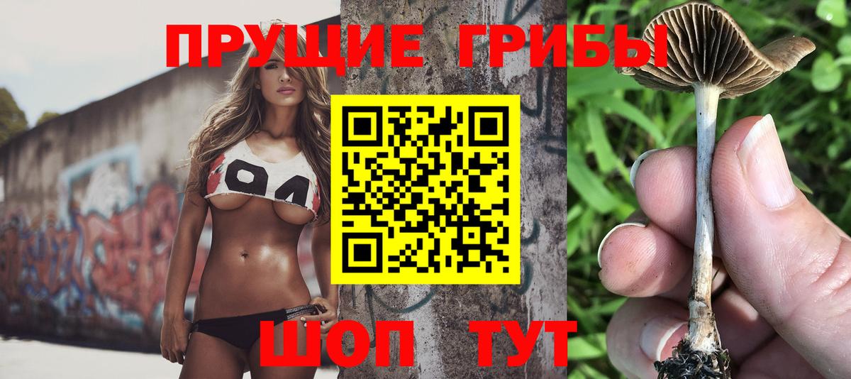 Галлюциногенные грибы Psilocybine cubensis  Вход с VPN  Галлюциногенные грибы MAGIC MUSHROOMS  Усинск 